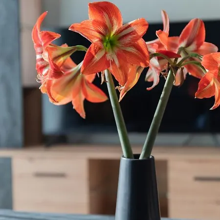 아파트 Dejaview Cozy By 8essentially *